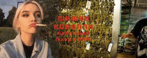 прущий лед Тихвин