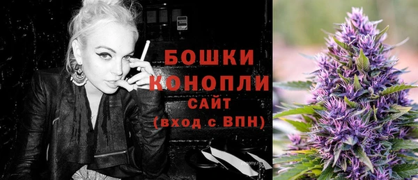 прущий лед Тихвин