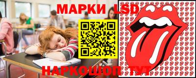 Альфа ПВП Кандалакша