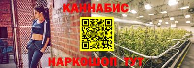 Альфа ПВП Кандалакша