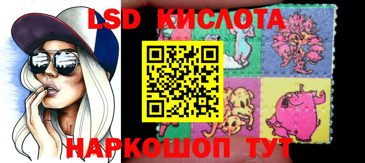 закладки  Наркотические марки 1500мкг  Новороссийск  Вход с VPN  Наркотические марки 1500мкг 