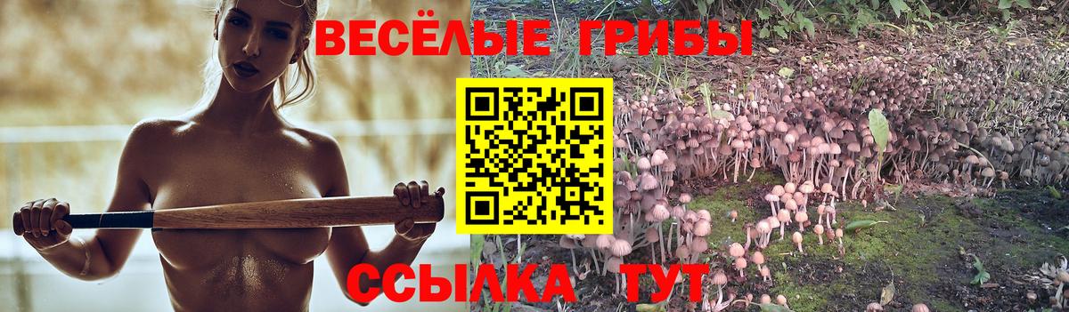 Новороссийск  Галлюциногенные грибы MAGIC MUSHROOMS  Вход с VPN 