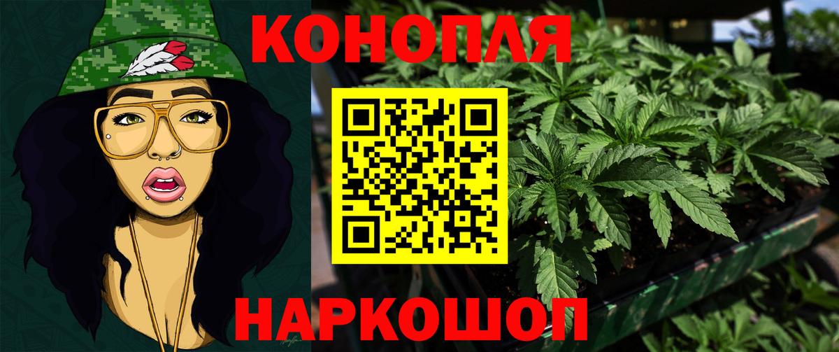 Каннабис планчик  Шишки марихуана Ganja  Бошки Шишки индика  Вход с VPN  Шишки марихуана планчик  Новороссийск 